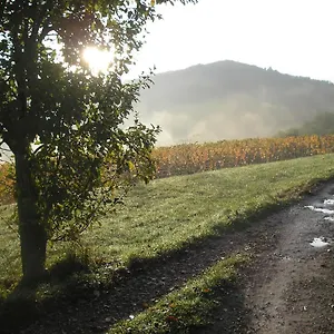  Hébergement de vacances Grange Rénovée En Pleine Nature